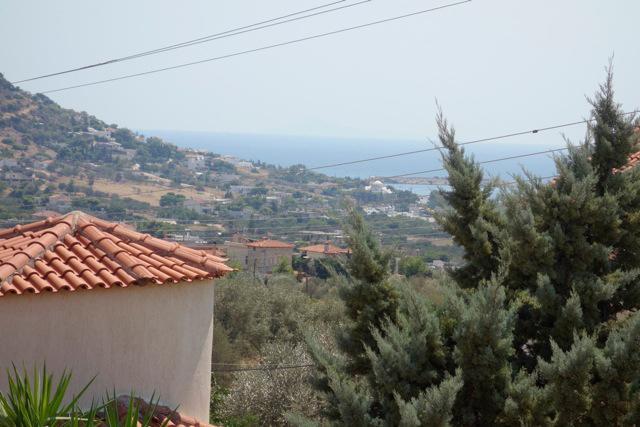 Villa Dendron Agia Marina  Luaran gambar